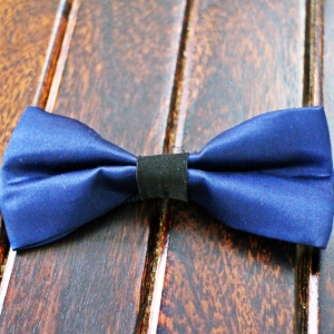 Formal Blue Bow Tie