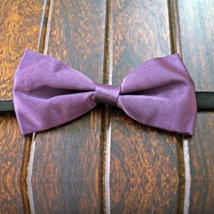 displaying image of Violet Bow Tie