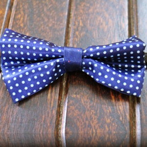 Rent/Buy White Small Polkadot Blue Bow Tie | Home Trial | Free Delivery ...
